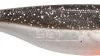 Seika Trouble Shad Brown Shiner 12 Cm -Vissen Verkoop brown shiner 1