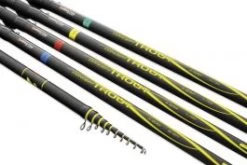 Concept Trout Bomb NR.1