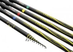 Concept Trout Bomb NR.2