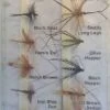 Dragon Std. Dry Flies -Vissen Verkoop dragon dry flies