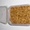 Gevriesdroogde Meelwormen 50 Gram 2 Gevriesdroogde Meelwormen 50 Gram -Vissen Verkoop meelworm