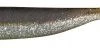 Seika Speed Shad Shiny Tail 16 Cm -Vissen Verkoop speed shad seika shiny tail 6 9 13 16 20 cm 3